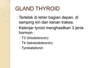 GLAND THYROID
Terletak di leher bagian depan, di
samping kiri dan kanan trakea.
Kelenjar tyroid menghasilkan 3 jenis
hormon :
◦ T3 (triiodotironin)
◦ T4 (tetraiodotironin)
◦ Tyrokalsitonin
 