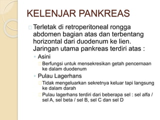KELENJAR PANKREAS
Terletak di retroperitoneal rongga
abdomen bagian atas dan terbentang
horizontal dari duodenum ke lien.
Jaringan utama pankreas terdiri atas :
◦ Asini
Berfungsi untuk mensekresikan getah pencernaan
ke dalam duodenum
◦ Pulau Lagerhans
Tidak mengeluarkan sekretnya keluar tapi langsung
ke dalam darah
Pulau lagerhans terdiri dari beberapa sel : sel alfa /
sel A, sel beta / sel B, sel C dan sel D
 