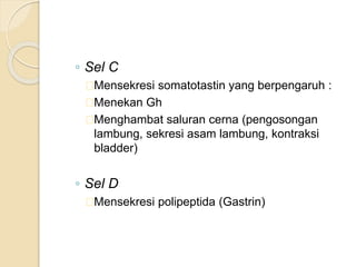◦ Sel C
Mensekresi somatotastin yang berpengaruh :
Menekan Gh
Menghambat saluran cerna (pengosongan
lambung, sekresi asam lambung, kontraksi
bladder)
◦ Sel D
Mensekresi polipeptida (Gastrin)
 