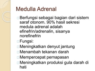 Medulla Adrenal
Berfungsi sebagai bagian dari sistem
saraf otonom. 90% hasil sekresi
medula adrenal adalah
efinefrin/adrenalin, sisanya
norefinefrin
Fungsi:
Meningkatkan denyut jantung
Menambah tekanan darah
Mempercepat pernapasan
Meningkatkan produksi gula darah di
hati
 