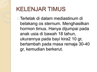 KELENJAR TIMUS
Terletak di dalam mediastinum di
belakang os sternum. Menghasilkan
hormon timus. Hanya dijumpai pada
anak usia di bawah 18 tahun,
ukurannya pada bayi kira2 10 gr,
bertambah pada masa remaja 30-40
gr, kemudian berkerut.
 