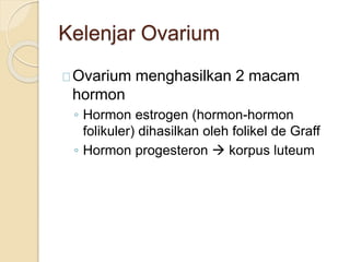 Kelenjar Ovarium
Ovarium menghasilkan 2 macam
hormon
◦ Hormon estrogen (hormon-hormon
folikuler) dihasilkan oleh folikel de Graff
◦ Hormon progesteron  korpus luteum
 