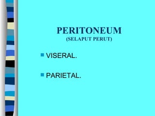 PERITONEUM
(SELAPUT PERUT)
 VISERAL.
 PARIETAL.
 