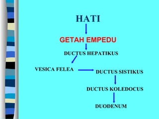 HATI
GETAH EMPEDU
DUCTUS HEPATIKUS
VESICA FELEA
DUCTUS SISTIKUS
DUCTUS KOLEDOCUS
DUODENUM
 