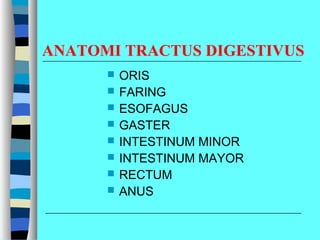 ANATOMI TRACTUS DIGESTIVUS
 ORIS
 FARING
 ESOFAGUS
 GASTER
 INTESTINUM MINOR
 INTESTINUM MAYOR
 RECTUM
 ANUS
 