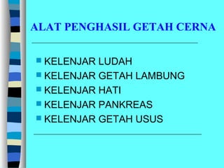ALAT PENGHASIL GETAH CERNA
 KELENJAR LUDAH
 KELENJAR GETAH LAMBUNG
 KELENJAR HATI
 KELENJAR PANKREAS
 KELENJAR GETAH USUS
 