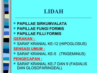LIDAH
 PAPILLAE SIRKUMVALATA
 PAPILLAE FUNGI FORMIS
 PAPILLAE FILLI FORMIS
GERAKAN :
 SARAF KRANIAL KE-12 (HIPOGLOSUS)
SENSASI UMUM :
 SARAF KRANIAL KE-5 (TRIGEMINUS)
PENGECAPAN :
 SARAF KRANIAL KE-7 DAN 9 (FASIALIS
DAN GLOSOFARINGEAL)
 