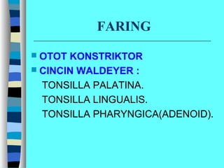 FARING
 OTOT KONSTRIKTOR
 CINCIN WALDEYER :
TONSILLA PALATINA.
TONSILLA LINGUALIS.
TONSILLA PHARYNGICA(ADENOID).
 
