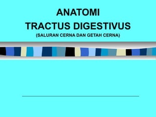 ANATOMI
TRACTUS DIGESTIVUS
(SALURAN CERNA DAN GETAH CERNA)
 
