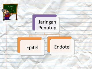 Jaringan
Penutup
Epitel Endotel
 