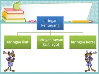 Jaringan
Penunjang
Jaringan Ikat
Jaringan rawan
(kartilago)
Jaringan Keras
 