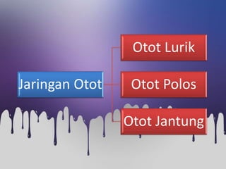 Jaringan Otot
Otot Lurik
Otot Polos
Otot Jantung
 