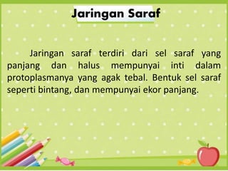 Jaringan Saraf
Jaringan saraf terdiri dari sel saraf yang
panjang dan halus mempunyai inti dalam
protoplasmanya yang agak tebal. Bentuk sel saraf
seperti bintang, dan mempunyai ekor panjang.
 