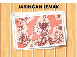 JARINGAN LEMAK
 