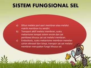SISTEM FUNGSIONAL SEL
a) Difusi melalui pori-pori membran atau melalui
matrik membran itu sendiri.
b) Transport aktif melalui membran, suatu
mekanisme tempat sistem enzim dan zat
pembawa khusus zat-zat melalui membran.
c) Endositosis, suatu mekanisme membran menelan
cairan ektrasel dan isinya, transpor zat-zat melalui
membran merupakan fungsi khusus sel.
 