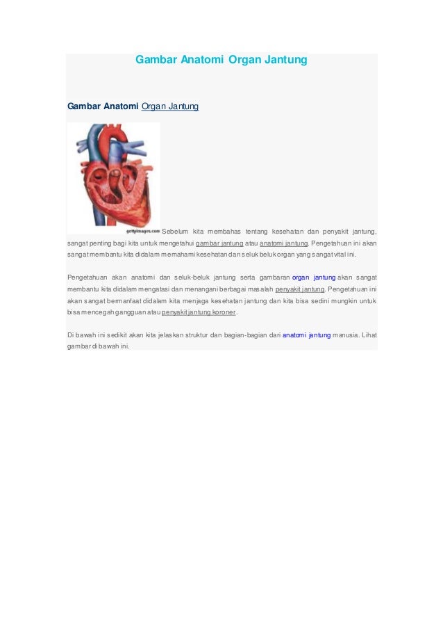 Anfis Jantubf Gambar Anatomi Organ Jantung