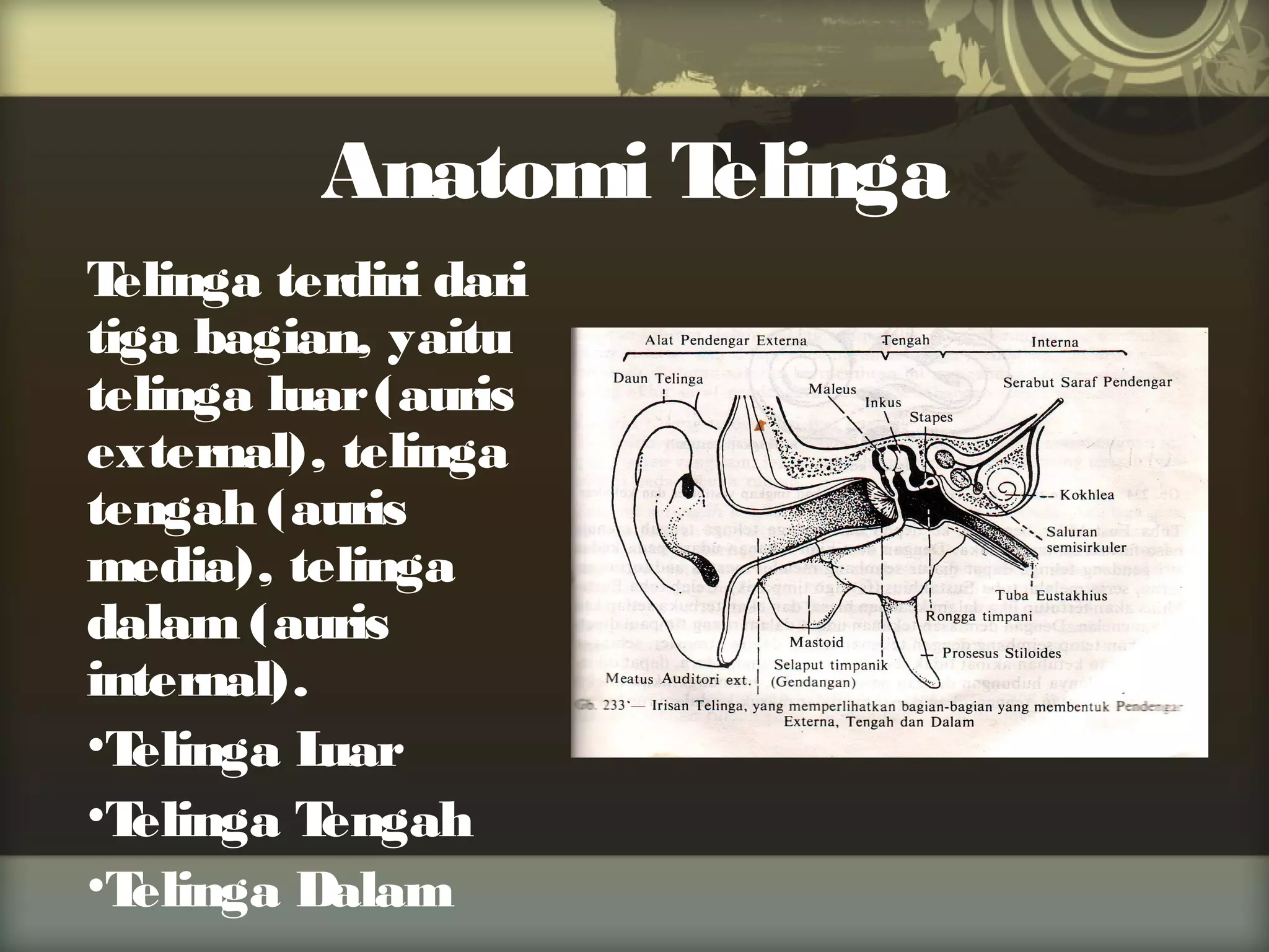 Anatomi T
elinga
T
elinga terdiri dari
tiga bagian, yaitu
telinga luar (auris
external), telinga
tengah (auris
media), telinga
dalam (auris
internal).
•T
elinga L
uar
•T
elinga T
engah
•T
elinga Dalam

 