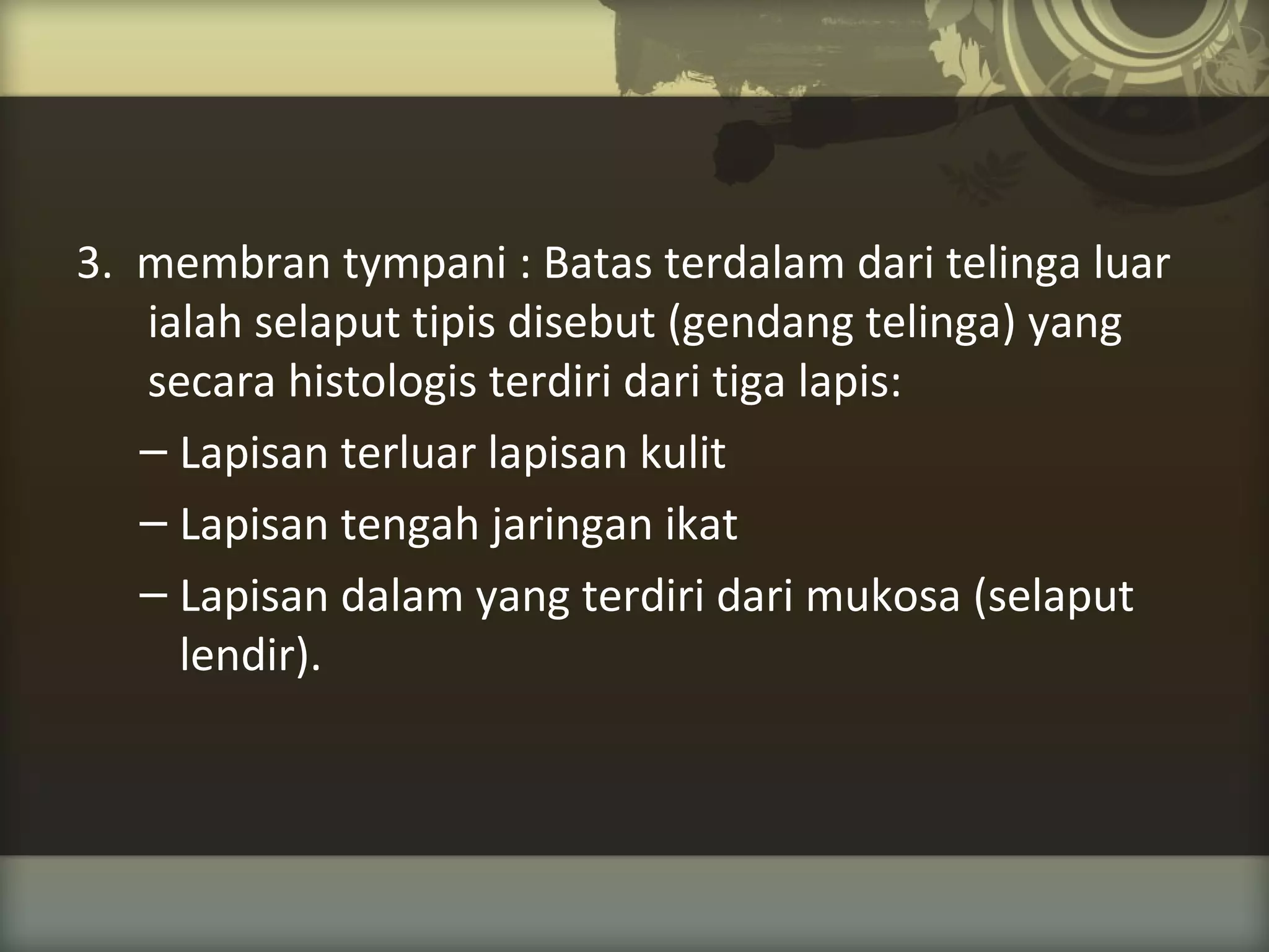 3. membran tympani : Batas terdalam dari telinga luar
ialah selaput tipis disebut (gendang telinga) yang
secara histologis terdiri dari tiga lapis:
– Lapisan terluar lapisan kulit
– Lapisan tengah jaringan ikat
– Lapisan dalam yang terdiri dari mukosa (selaput
lendir).

 
