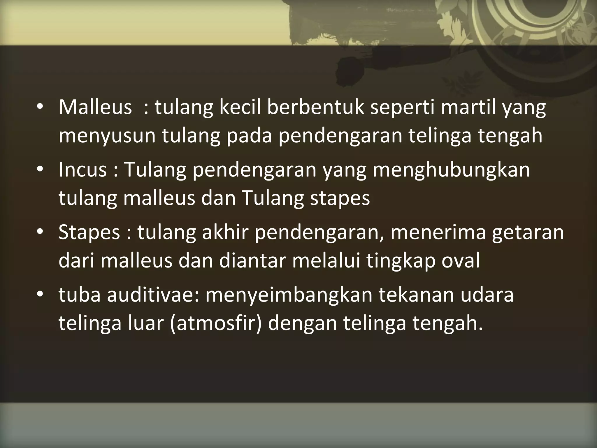 • Malleus : tulang kecil berbentuk seperti martil yang
menyusun tulang pada pendengaran telinga tengah
• Incus : Tulang pendengaran yang menghubungkan
tulang malleus dan Tulang stapes
• Stapes : tulang akhir pendengaran, menerima getaran
dari malleus dan diantar melalui tingkap oval
• tuba auditivae: menyeimbangkan tekanan udara
telinga luar (atmosfir) dengan telinga tengah.

 