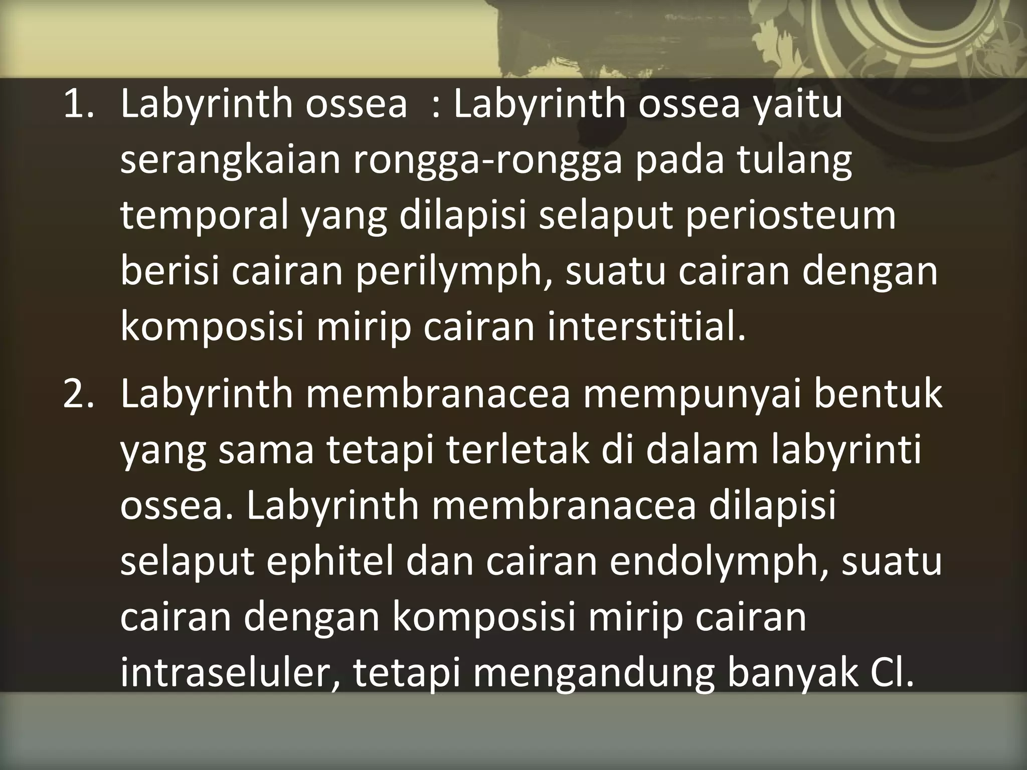 1. Labyrinth ossea : Labyrinth ossea yaitu
serangkaian rongga-rongga pada tulang
temporal yang dilapisi selaput periosteum
berisi cairan perilymph, suatu cairan dengan
komposisi mirip cairan interstitial.
2. Labyrinth membranacea mempunyai bentuk
yang sama tetapi terletak di dalam labyrinti
ossea. Labyrinth membranacea dilapisi
selaput ephitel dan cairan endolymph, suatu
cairan dengan komposisi mirip cairan
intraseluler, tetapi mengandung banyak Cl.

 