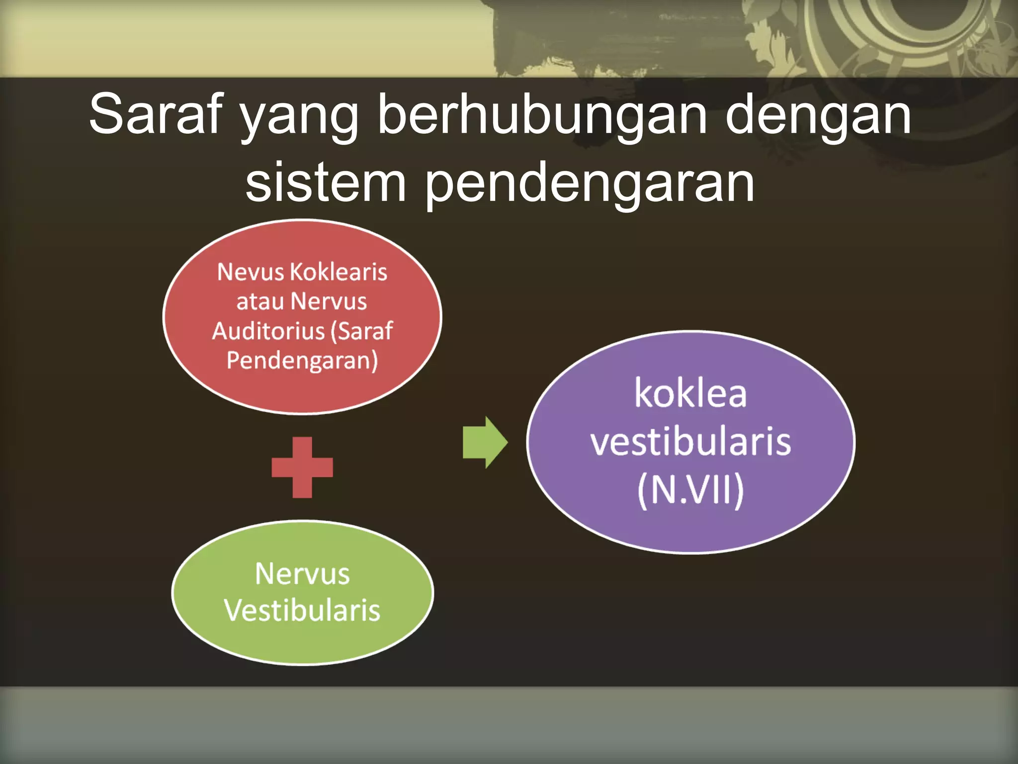 Saraf yang berhubungan dengan
sistem pendengaran

 