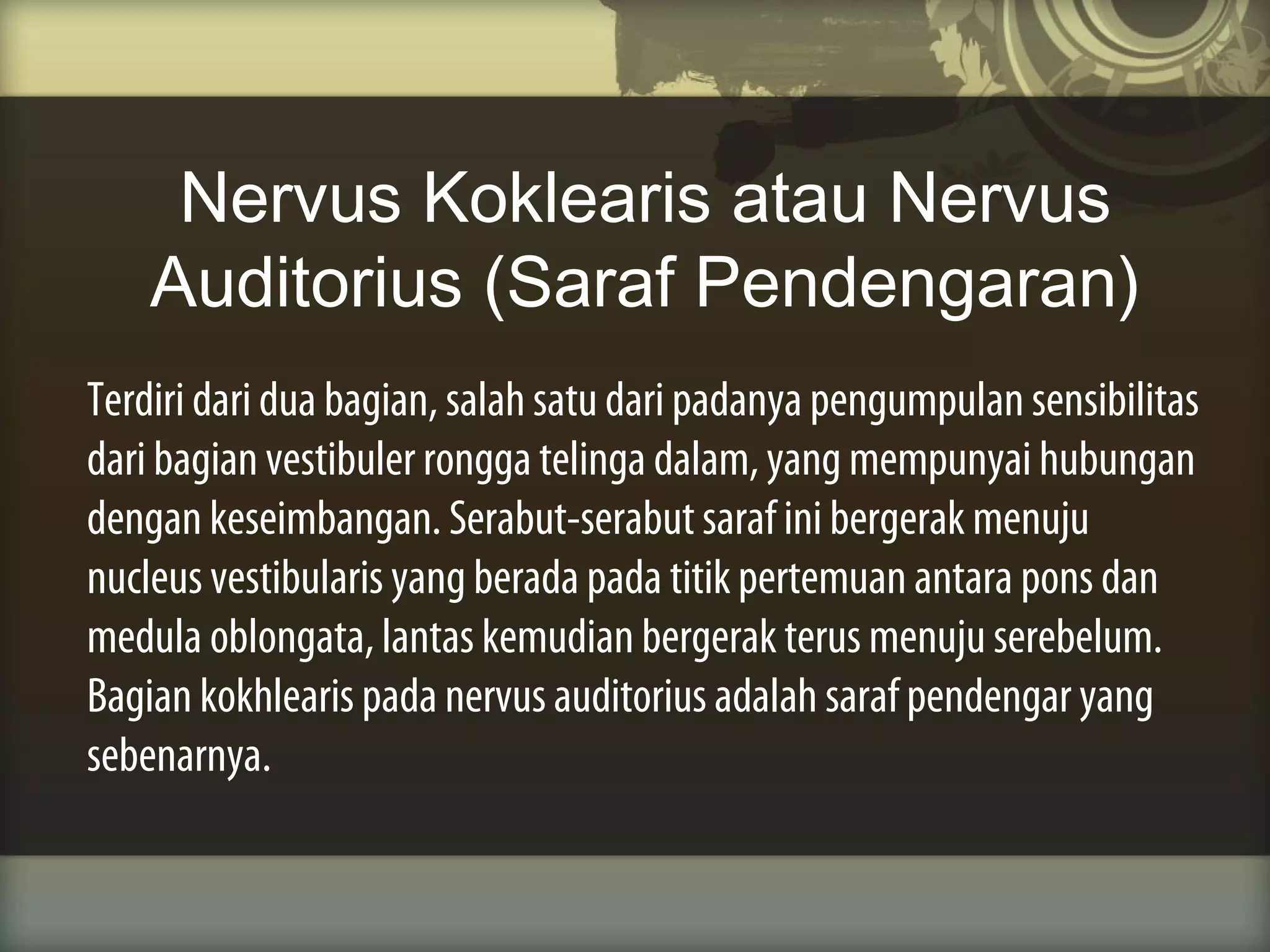 Nervus Koklearis atau Nervus
Auditorius (Saraf Pendengaran)
Terdiri dari dua bagian, salah satu dari padanya pengumpulan sensibilitas
dari bagian vestibuler rongga telinga dalam, yang mempunyai hubungan
dengan keseimbangan. Serabut-serabut saraf ini bergerak menuju
nucleus vestibularis yang berada pada titik pertemuan antara pons dan
medula oblongata, lantas kemudian bergerak terus menuju serebelum.
Bagian kokhlearis pada nervus auditorius adalah saraf pendengar yang
sebenarnya.

 