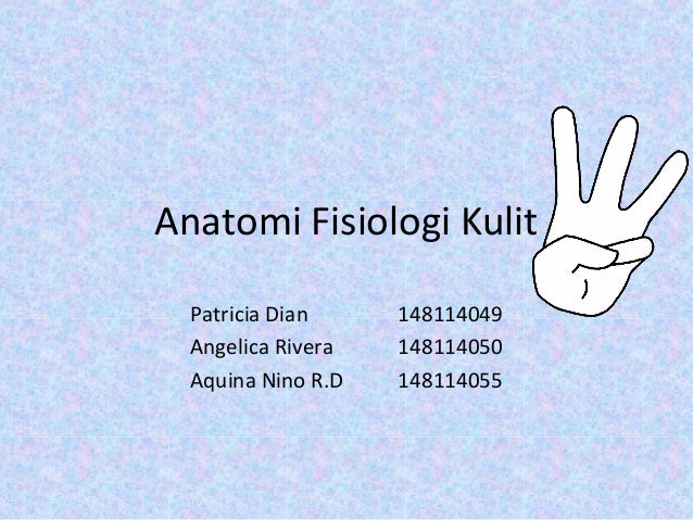 Anatomi dan Fisiologi Kulit Manusia