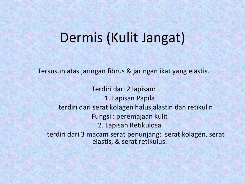 Anatomi dan Fisiologi Kulit Manusia