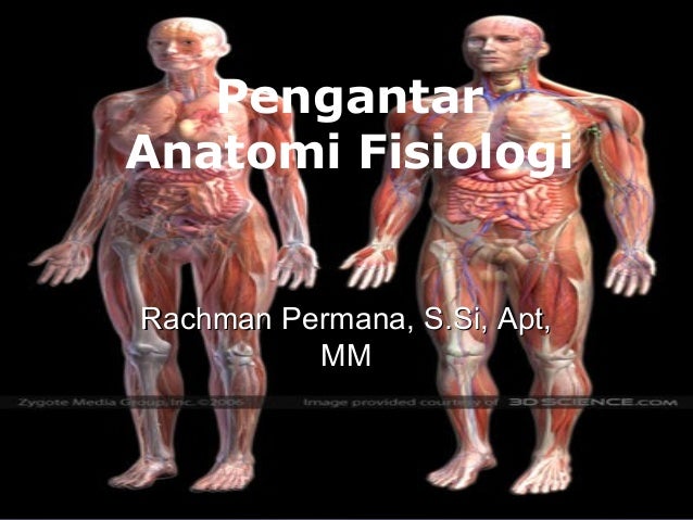 Pengantar Anatomi Fisiologi