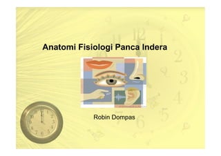 Anatomi Fisiologi Panca Indera

Robin Dompas

 
