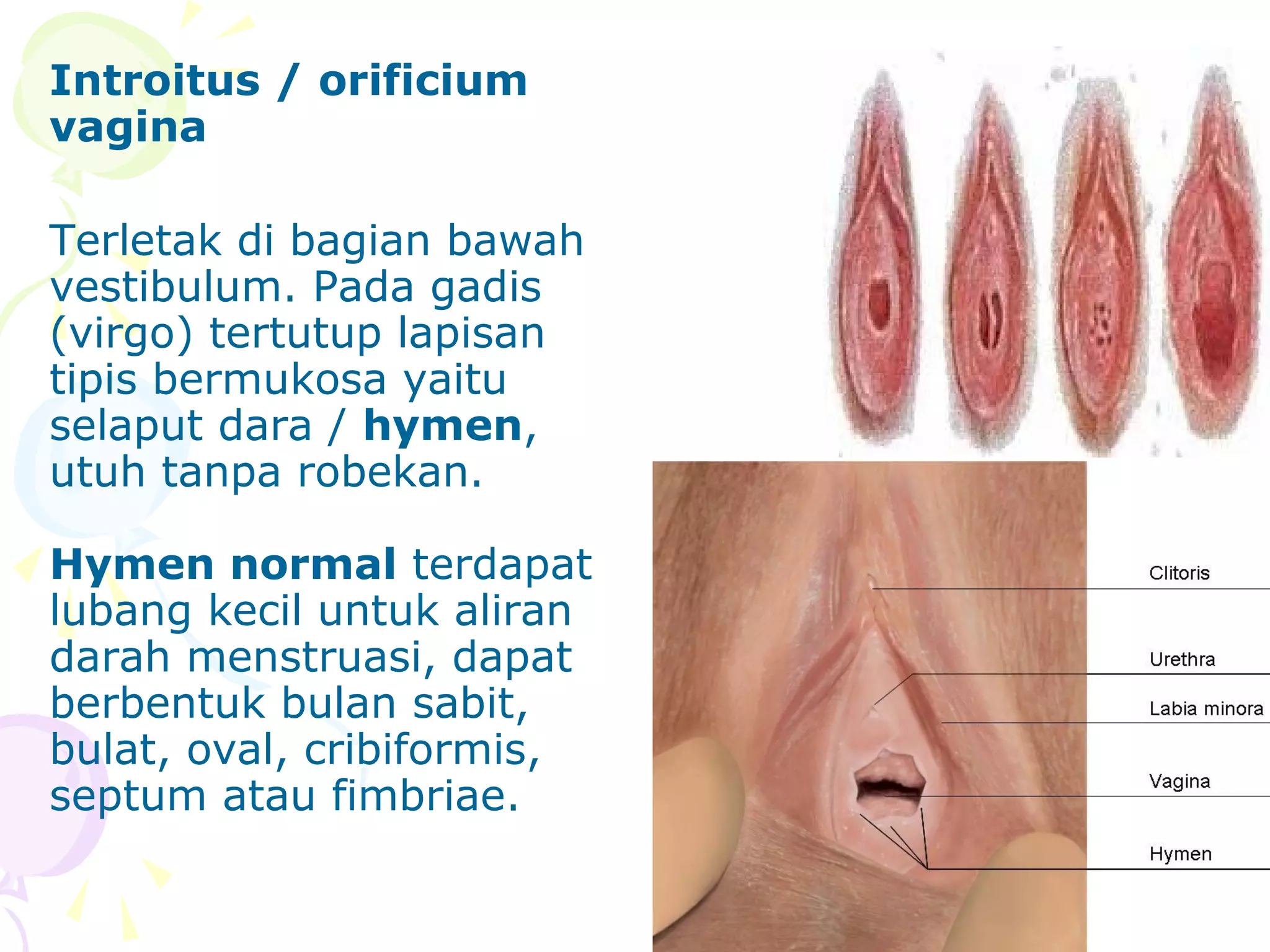 Arab qizlari bilan porno videolarni tomosha qiling Tanya Zemskaya bilan sikish