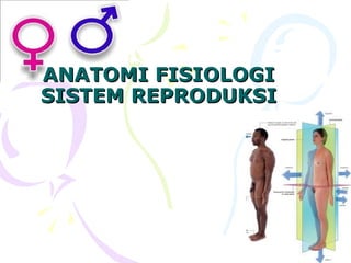 ANATOMI FISIOLOGIANATOMI FISIOLOGI
SSISTEMISTEM REPRODUKSIREPRODUKSI
 