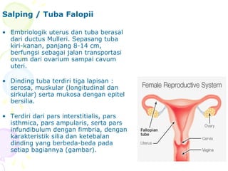 Salping ANFIS sistem reproduksi | PPT