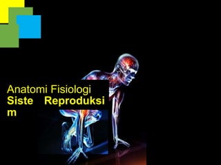Anatomi Fisiologi
Siste
m
Reproduksi
 