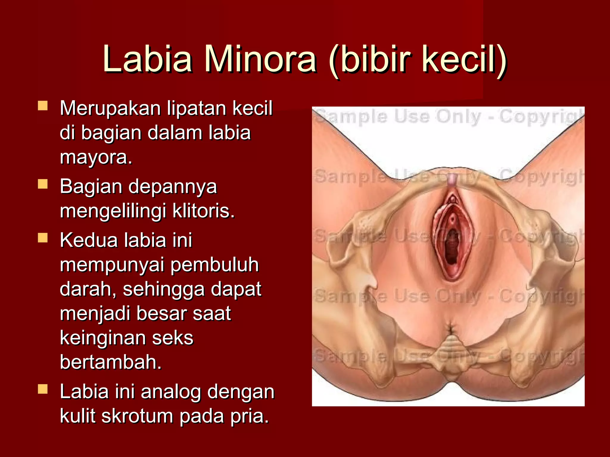 Rus onasi bilan porno kasting