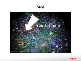 Sted
 