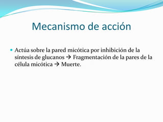 Mecanismo de acción
 Actúa sobre la pared micótica por inhibición de la
 síntesis de glucanos  Fragmentación de la pares de la
 célula micótica  Muerte.
 