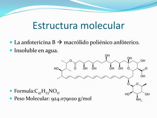 Estructura molecular
 La anfotericina B  macrólido poliénico anfóterico.
 Insoluble en agua.




 Formula:C47H73NO17
 Peso Molecular: 924.079020 g/mol
 