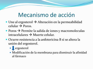 Mecanismo de acción
 Une al ergosterol  Alteración en la permeabilidad
  celular  Poros.
 Poros  Permite la salida de iones y macromoleculas
  intracelulares  Muerte celular.
 Ocurre resistencia a la anfotericina B si se altera la
  unión del ergosterol.
      ergosterol
   Modificación de la membrana para disminuir la afinidad
    al fármaco
 
