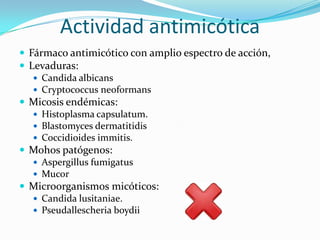 Actividad antimicótica
 Fármaco antimicótico con amplio espectro de acción,
 Levaduras:
    Candida albicans
    Cryptococcus neoformans
 Micosis endémicas:
    Histoplasma capsulatum.
    Blastomyces dermatitidis
    Coccidioides immitis.
 Mohos patógenos:
    Aspergillus fumigatus
    Mucor
 Microorganismos micóticos:
    Candida lusitaniae.
    Pseudallescheria boydii
 