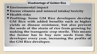 Genetically Modified Crop Production. | PPTX