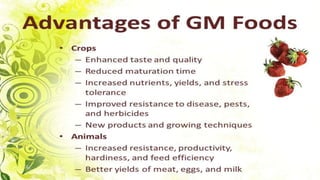 Genetically Modified Crop Production. | PPTX