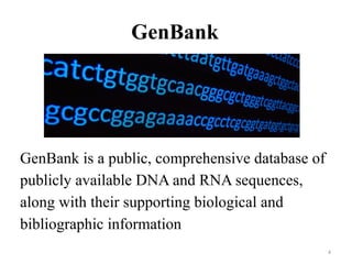 Biostatistics and bioinformatics 4106.pptx
