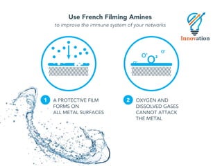 French Filming Amines General Presentation | PDF