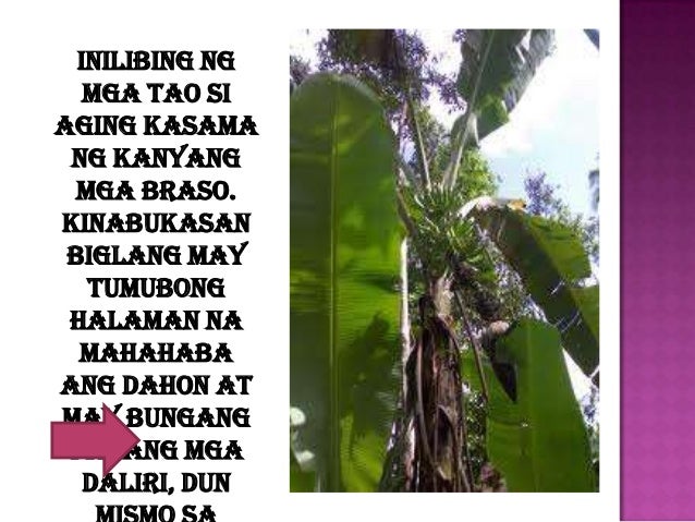 kwentong may pagpapahalaga sakapwa Maikling kwento ang maikling kuwento – binaybay ding maikling kuwento – ay isang maigsing salaysay hinggil sa isang mahalagang pangyayaring kinasasangkutan ng isa o ilang tauhan at may iisang kakintalan o impresyon lamang. kwentong may pagpapahalaga sakapwa Maikling kwento ang maikling kuwento – binaybay ding maikling kuwento – ay isang maigsing salaysay hinggil sa isang mahalagang pangyayaring kinasasangkutan ng isa o ilang tauhan at may iisang kakintalan o impresyon lamang.