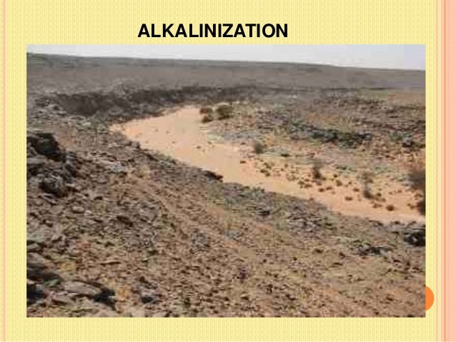 Ang Biodiversity ng Asya