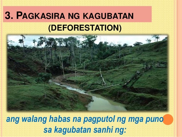 pagkasira ng kagubatan Contextual translation of pagkasira ng kagubatan into english human translations with examples: dismay, deforestation, food breakdown, soil degradation. pagkasira ng kagubatan Contextual translation of pagkasira ng kagubatan into english human translations with examples: dismay, deforestation, food breakdown, soil degradation.