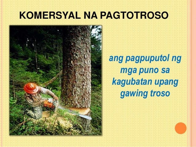 pagkasira ng kagubatan Contextual translation of pagkasira ng kagubatan into english human translations with examples: dismay, deforestation, food breakdown, soil degradation. pagkasira ng kagubatan Contextual translation of pagkasira ng kagubatan into english human translations with examples: dismay, deforestation, food breakdown, soil degradation.
