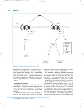 017-025 Armero   4/02/10 15:35      Page 20




     20     ARTÈRES




            Figure 2 : Stimulation du récepteur P2Y12 par l’ADP

            La mesure des dérivés sanguins et urinaires du TXA2 (11-       et son intérêt dans le dépistage de la résistance au clopido-
            dehydro thromboxane B2 urinaire, AspirinWorks test) per-       grel est aujourd’hui bien documenté [7] [10].
            met de vérifier la bonne compliance et/ou la bonne réponse        Plus récemment la réponse au clopidogrel a été évaluée
            thérapeutique à l’aspirine. En effet, un taux élevé de méta-   par la mesure par cytométrie de flux de la phosphorylation
            bolites urinaires est associé à la survenue d’évènements       de la protéine VASP. Dans la plaquette, VASP existe sous
            thrombotiques sous traitement. Cependant, ces méthodes         deux formes : une forme phosphorylée (VASP-P) et une
            ne sont pas adaptées à la pratique courante et encore moins    forme non phosphorylée (VASP). La protéine VASP participe
            à l’urgence.                                                   à la régulation de la dynamique du cytosquelette et à l’acti-
                                                                           vation de la GPIIbIIIa. Son activité dépend de son niveau de
               b-Evaluation du clopidogrel :                               phosphorylation; lui-même inversement corrélé à l’état de
               L’agrégométrie plaquettaire est considérée comme le         stimulation du récepteur P2Y12 (Figure 2). L’étude de VASP
            « Gold Standard ». Elle consiste à mesurer l’agrégation pla-   est donc très spécifique du récepteur P2Y12. Un traitement
            quettaire d’un plasma riche en plaquettes (PRP) en réponse     par clopidogrel doit donc normalement s’accompagner d’une
            à un activateur des fonctions plaquettaires : l’ADP pour le    augmentation de la phosphorylation de VASP. La mesure du
            clopidogrel.                                                   degré de phosphorylation de la protéine VASP (index VASP)
               Le VerifyNow permet à l’aide de sa cartouche P2Y12 de       est à notre connaissance la seule méthode disponible qui
            mesurer de façon très sensible la résistance au clopidogrel    permette d’évaluer sélectivement l’effet du clopidogrel sur le


            ANGÉIOLOGIE, 2010, VOL. 62, N° 1
 