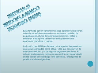 (REL)________________________________5